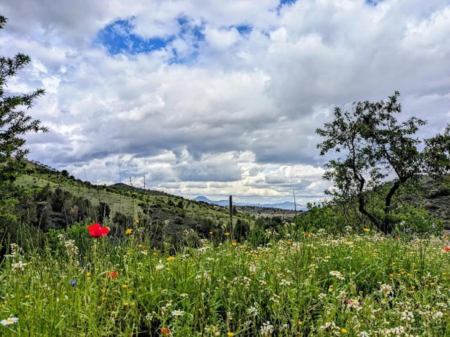 Nature Home Maitreya Lorca  Bagian luar foto